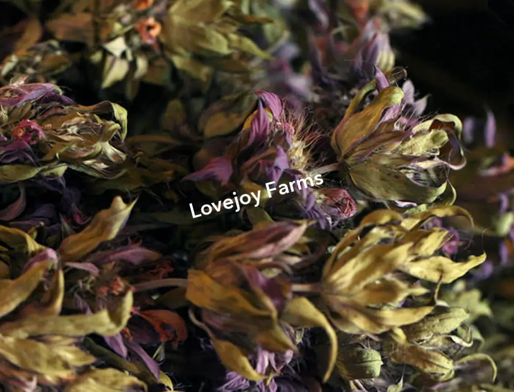 Dried Lemon Mint Dried Flowers