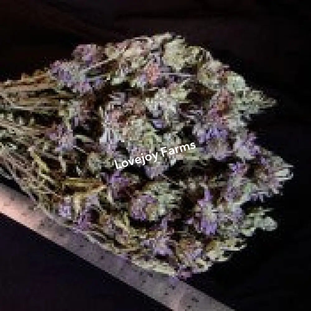 Dried Lemon Mint Dried Flowers