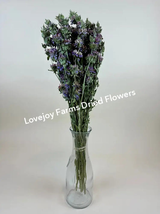 Dried Lemon Mint Dried Flowers