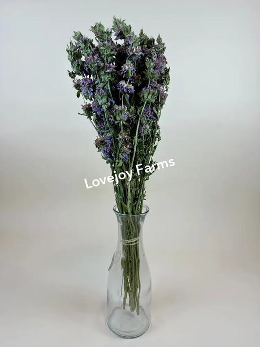 Dried Lemon Mint Dried Flowers