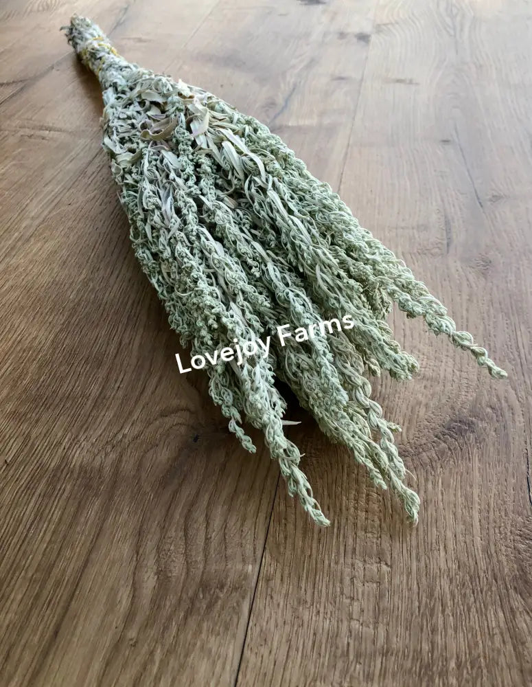 Dried Silver King Artemesia Dried Flowers