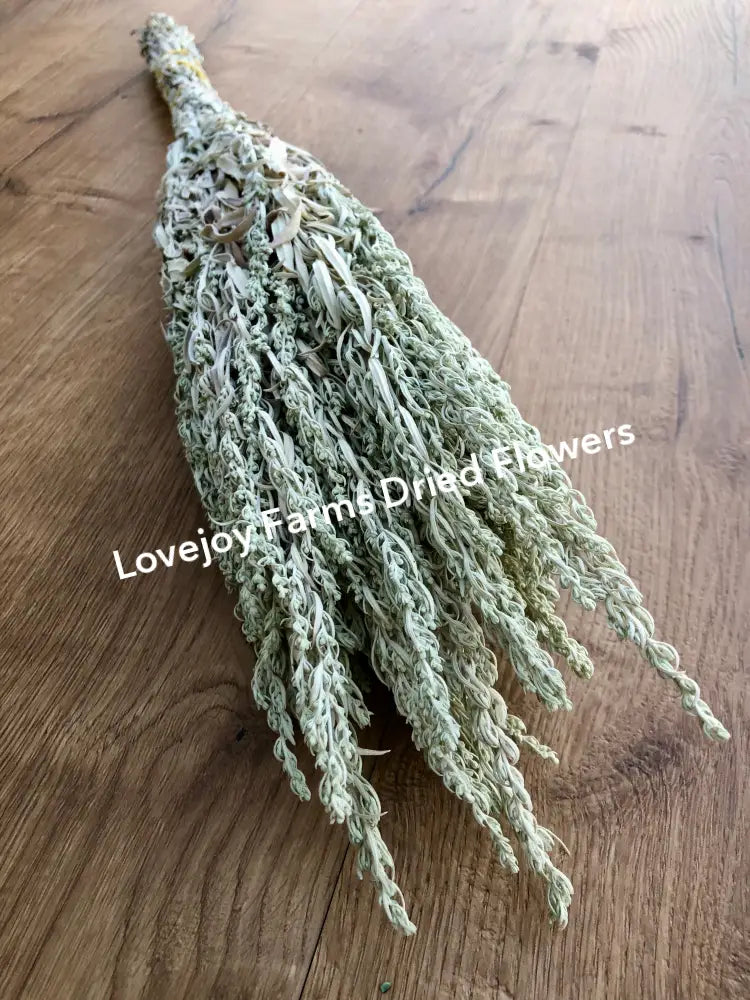 Dried Silver King Artemesia Dried Flowers