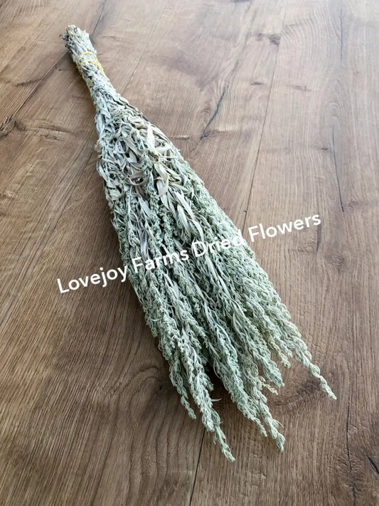 Dried Silver King Artemesia Dried Flowers