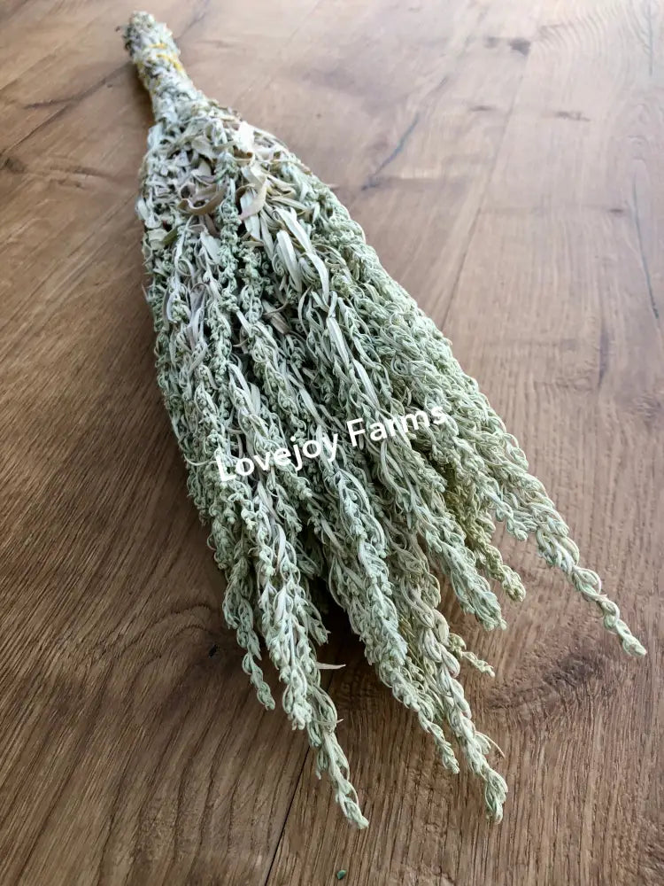 Dried Silver King Artemesia Dried Flowers