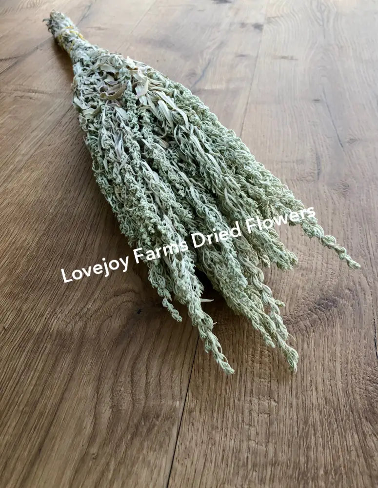 Dried Silver King Artemesia Dried Flowers