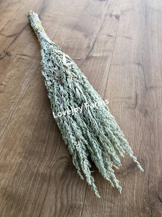 Dried Silver King Artemesia Dried Flowers