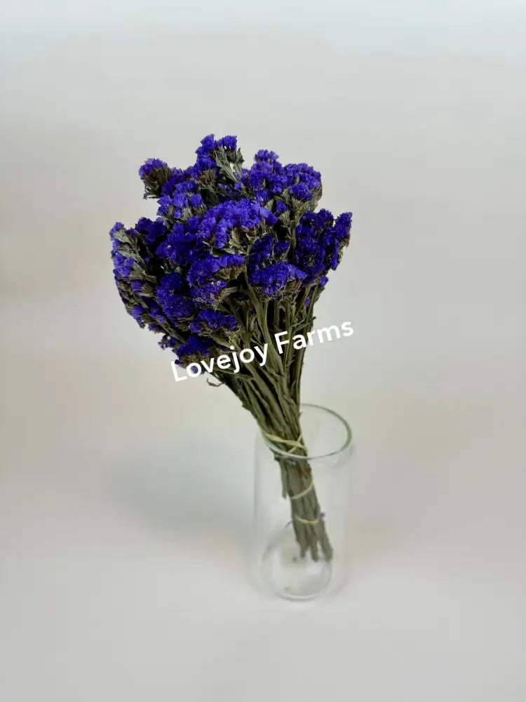 Dried Sinuata Statice (Purple) Dried Flowers