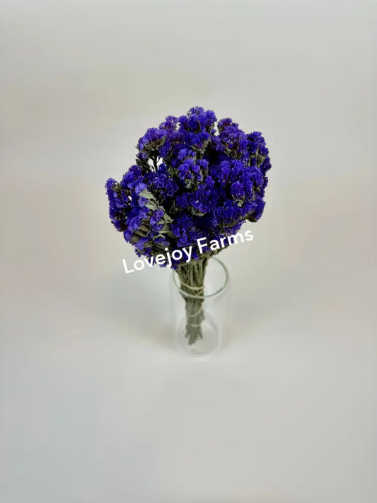 Dried Sinuata Statice (Purple) Dried Flowers
