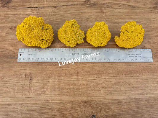 Dried Yarrow Heads (1 lb) Dried Flowers