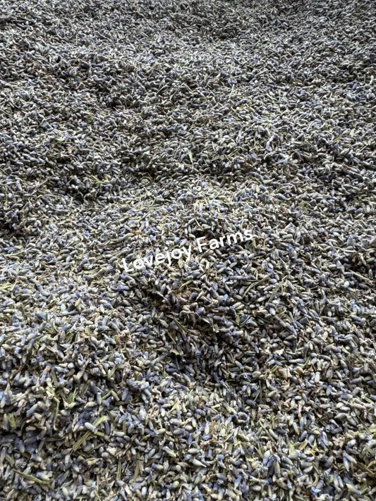 The Field Run Lavender Buds from Lovejoy Farms form a textured, aromatic surface with a dense pile of small buds and leaves, showcasing freshly harvested violet-blue hues and green tones.